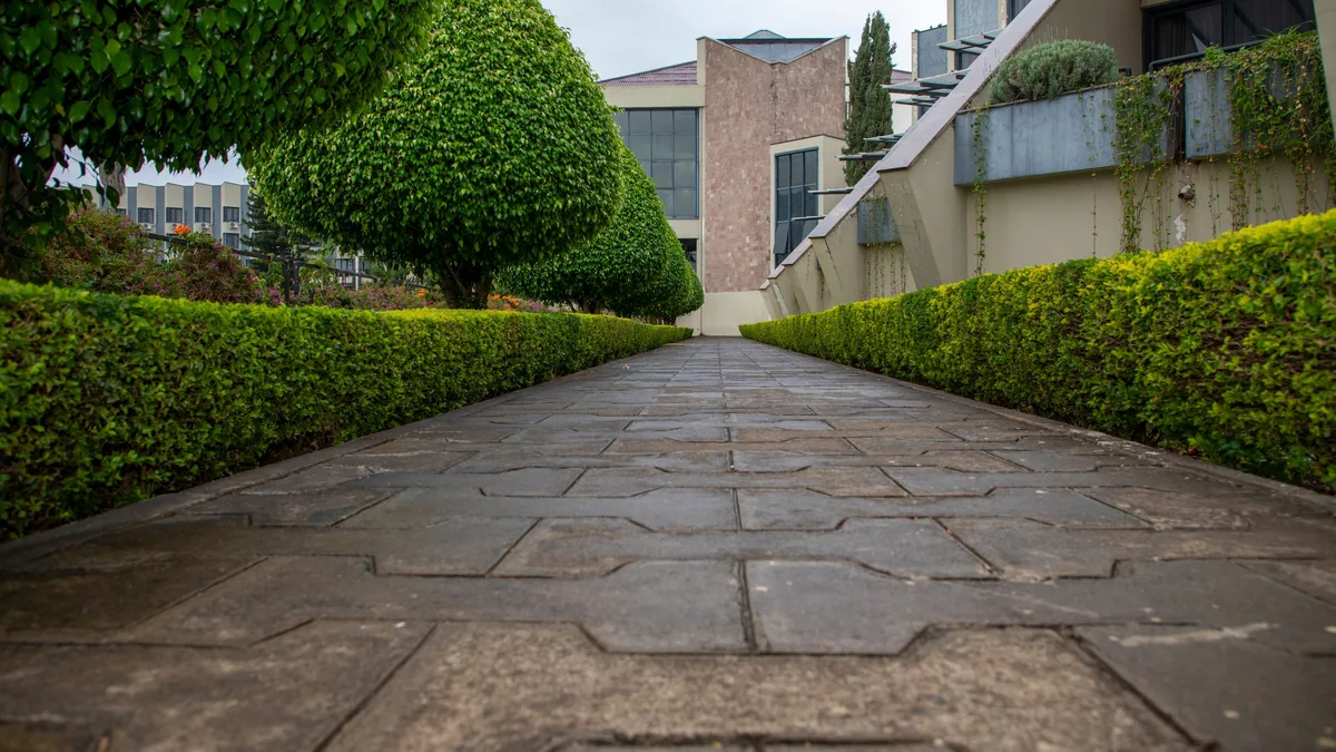 A clear pathway between trimmed hedges toward a building entrance, representing a choice between GoHighLevel plans